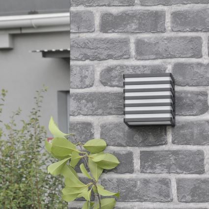 Iluminação de parede exterior LED MAXWELL LED/10W/230V IP54 grafite