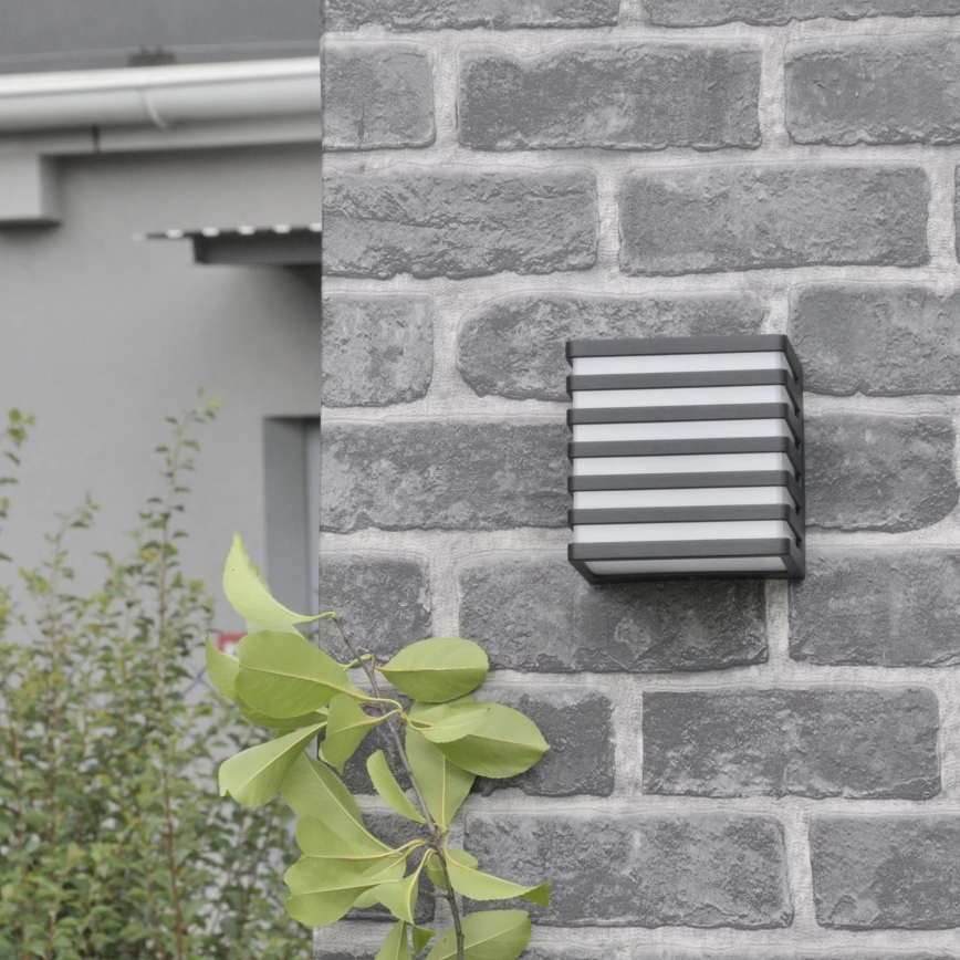Iluminação de parede exterior LED MAXWELL LED/10W/230V IP54 grafite