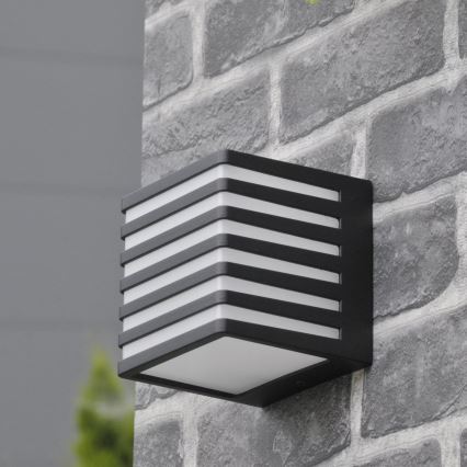 Iluminação de parede exterior LED MAXWELL LED/10W/230V IP54 grafite
