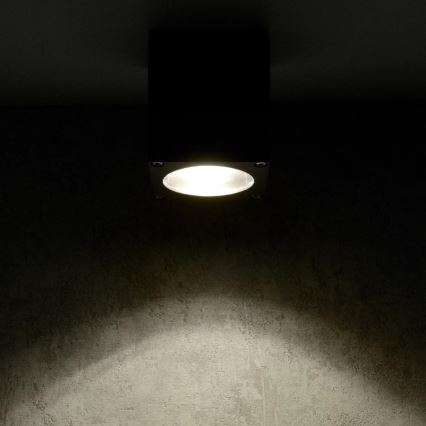 Iluminação de parede exterior MORRIS 1xGU10/35W/230V IP54