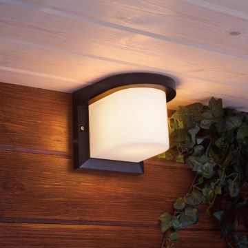 Iluminação de parede exterior PETUNIA 1xE27/60W/230V IP44 antracite