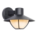 Iluminação de parede exterior ZALIKA 1xE27/60W/230V IP44 preto