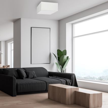 Iluminação de teto ALBION 2xE27/60W/230V
