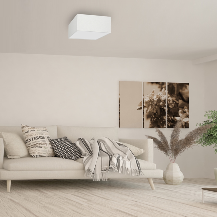 Iluminação de teto ALBION 2xE27/60W/230V