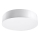 Iluminação de teto ARENA 4xE27/60W/230V branco