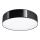 Iluminação de teto ARENA 4xE27/60W/230V preta