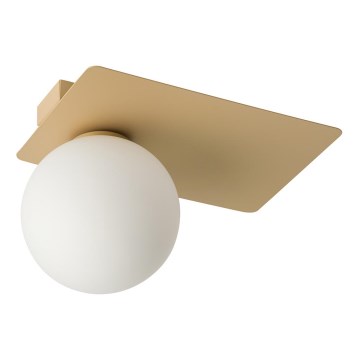 Iluminação de teto ARGON 1xG9/12W/230V dourada