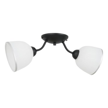 Iluminação de teto AVIA 2xE27/60W/230V
