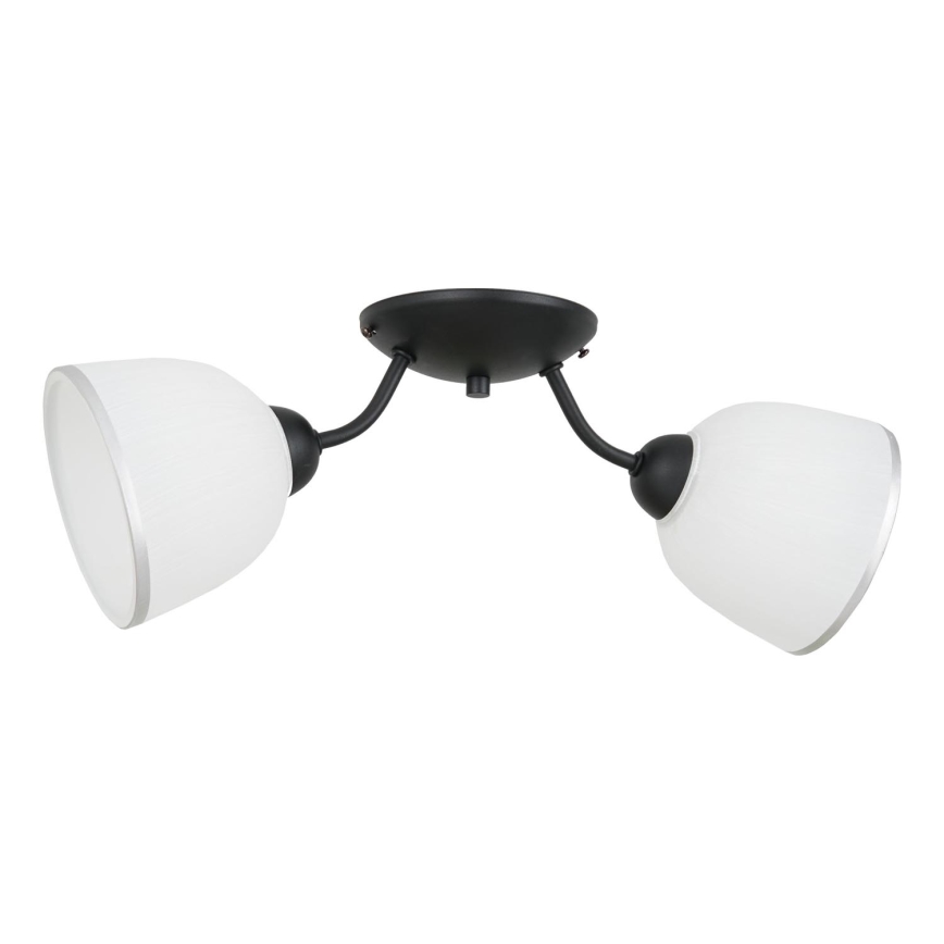 Iluminação de teto AVIA 2xE27/60W/230V