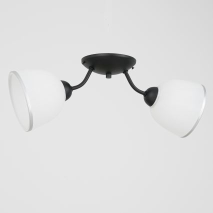 Iluminação de teto AVIA 2xE27/60W/230V