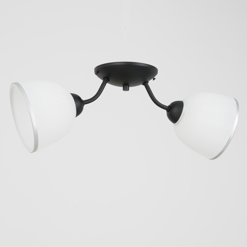 Iluminação de teto AVIA 2xE27/60W/230V