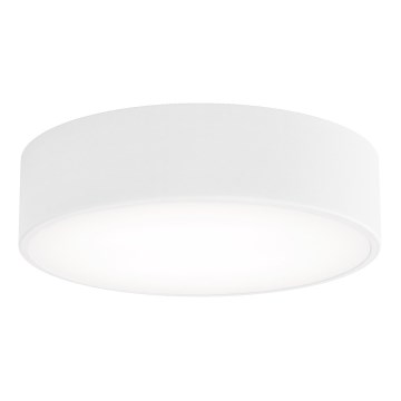 Iluminação de teto CLEO 2xE27/24W/230V d. 30 cm branca