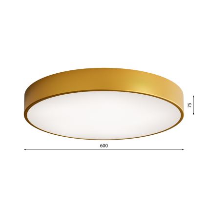 Iluminação de teto com sensor CLEO 5xE27/24W/230V d. 60 cm dourada