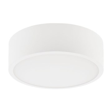 Iluminação de teto DANTE 1xE27/60W/230V diâmetro 26 cm branco