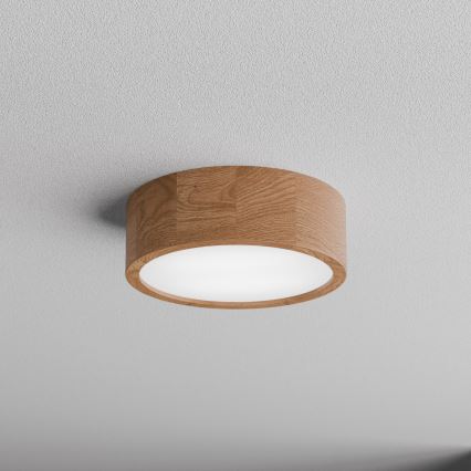 Iluminação de teto de casa de banho CLEO 2xE27/24W/230V IP54 diâmetro 27,5 cm carvalho