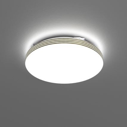 Iluminação de teto de casa de banho LED BEVER LED/10W/230V 4000K diâmetro 26 cm IP44