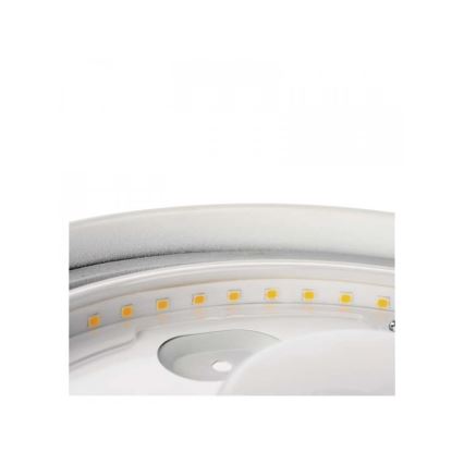 Iluminação de teto de casa de banho LED LED/18W/230V IP44