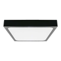 Iluminação de teto de casa de banho LED LED/24W/230V 6500K IP44 preto