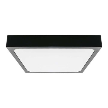Iluminação de teto de casa de banho LED LED/24W/230V 6500K IP44 preto