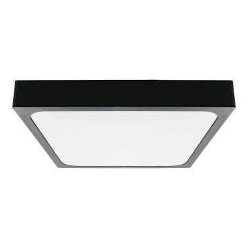 Iluminação de teto de casa de banho LED LED/30W/230V 4000K IP44 preto