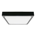 Iluminação de teto de casa de banho LED LED/30W/230V 6500K IP44 preto