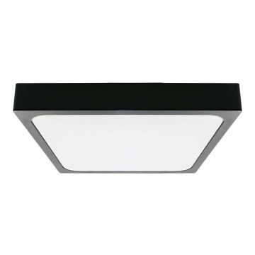 Iluminação de teto de casa de banho LED LED/30W/230V 6500K IP44 preto