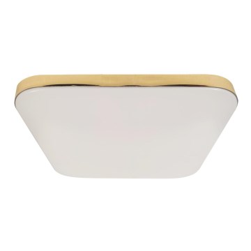 Iluminação de teto de casa de banho LED NEMO LED/17W/230V IP44 dourado