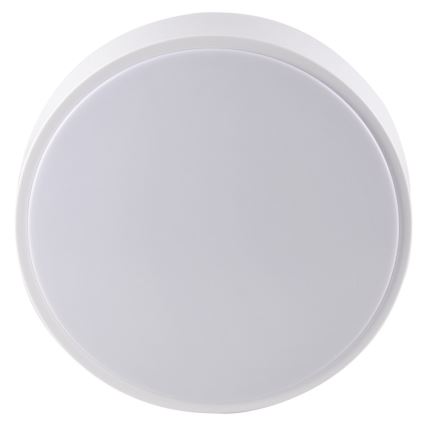Iluminação de teto de casa de banho RENE LED/15W/230V IP44 branca