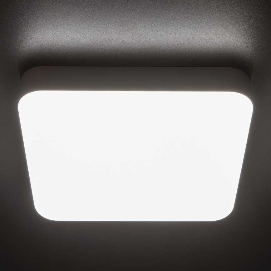 Iluminação de teto de trabalho LED IPER LED/19W/230V IK10 IP65 angular branco