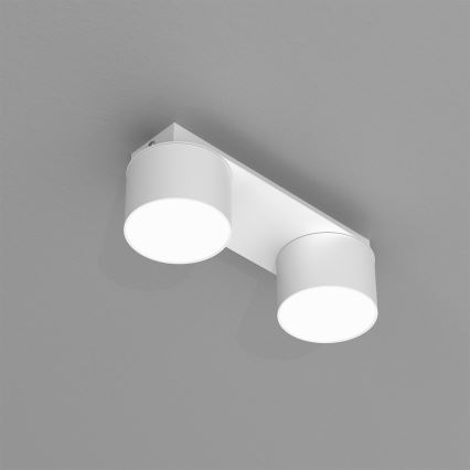 Iluminação de teto DIXIE 2xGX53/11W/230V branca