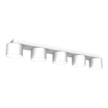 Iluminação de teto DIXIE 5xGX53/11W/230V branca