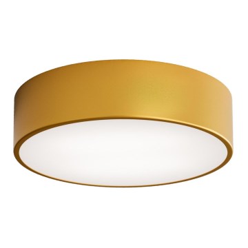 Iluminação de teto exterior com sensor CLEO 2xE27/24W/230V d. 30 cm dourado IP54