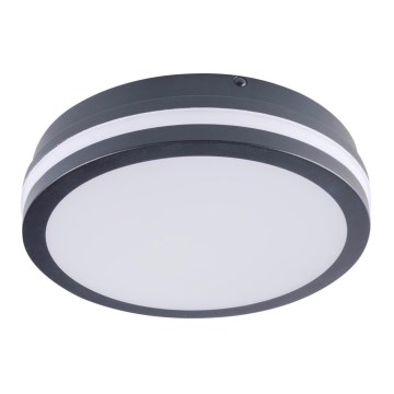 Iluminação de teto exterior LED BENO LED/18W/230V 4000K antracite IP54