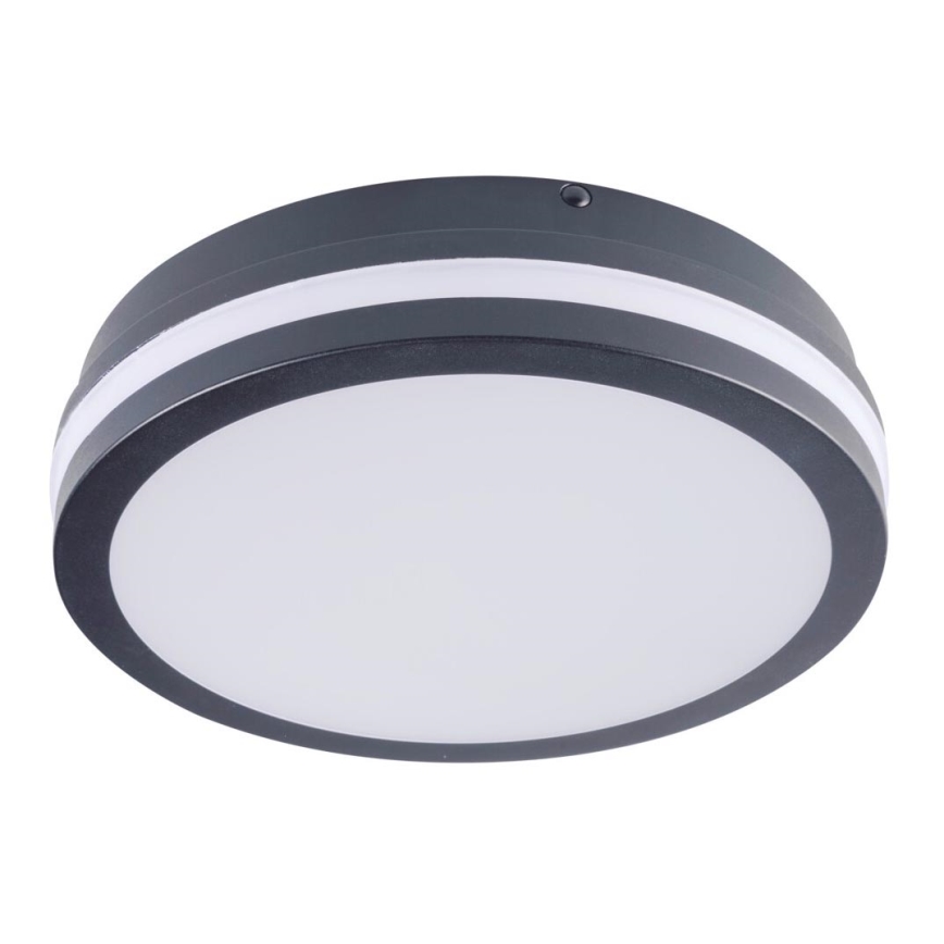 Iluminação de teto exterior LED BENO LED/18W/230V 4000K antracite IP54