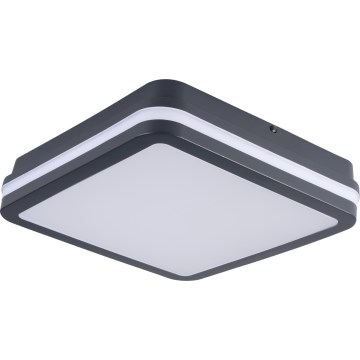 Iluminação de teto exterior LED BENO LED/24/30W/230V 3000/3500/4000K IP65 antracite angular