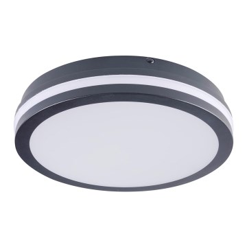 Iluminação de teto exterior LED BENO LED/24W/230V 4000K Antracite IP54