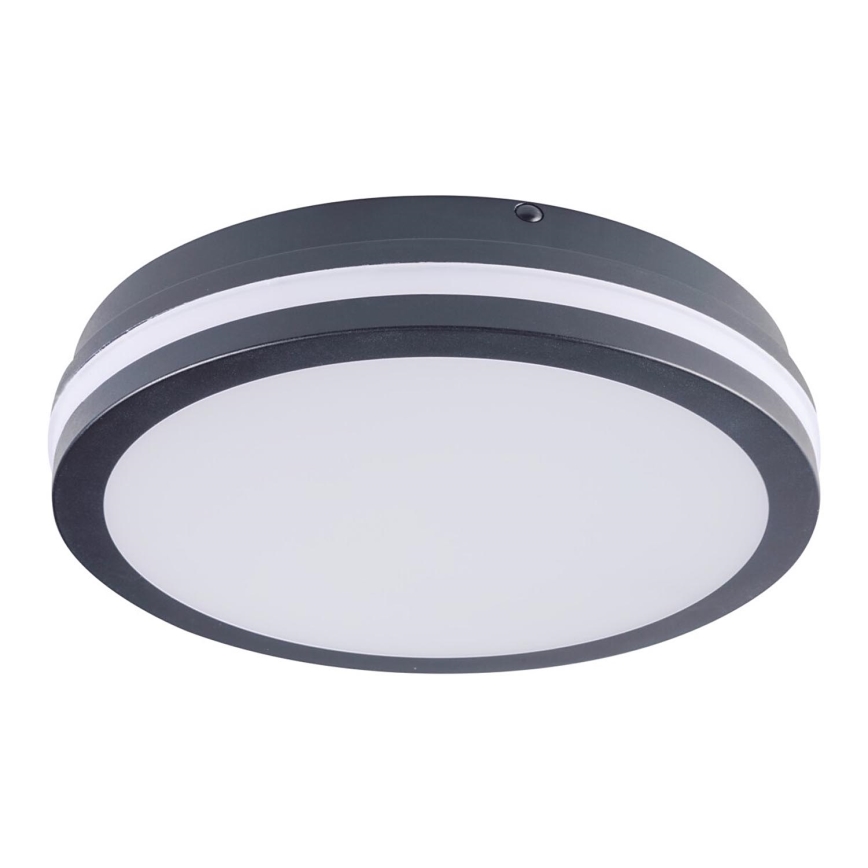 Iluminação de teto exterior LED BENO LED/24W/230V 4000K Antracite IP54