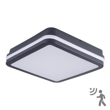 Iluminação de teto exterior LED com sensor BENO LED/24W/230V 4000K Antracite IP54