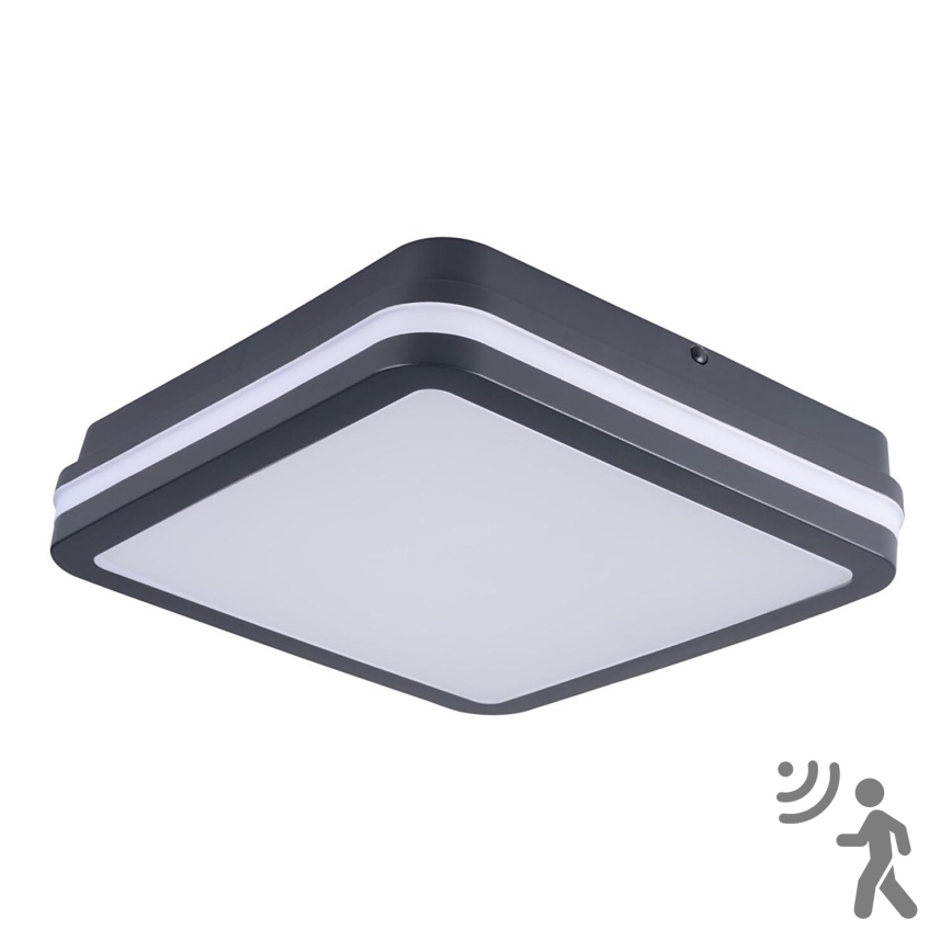 Iluminação de teto exterior LED com sensor BENO LED/24W/230V 4000K Antracite IP54
