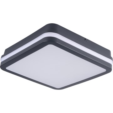 Iluminação de teto exterior LED com sensor de movimento BENO LED/12/18W/230V 3000/3500/4000K IP65 antracite angular