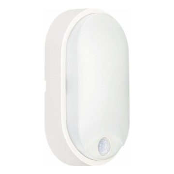 Iluminação de teto exterior LED com sensor LED/14W/230V IP54 branco