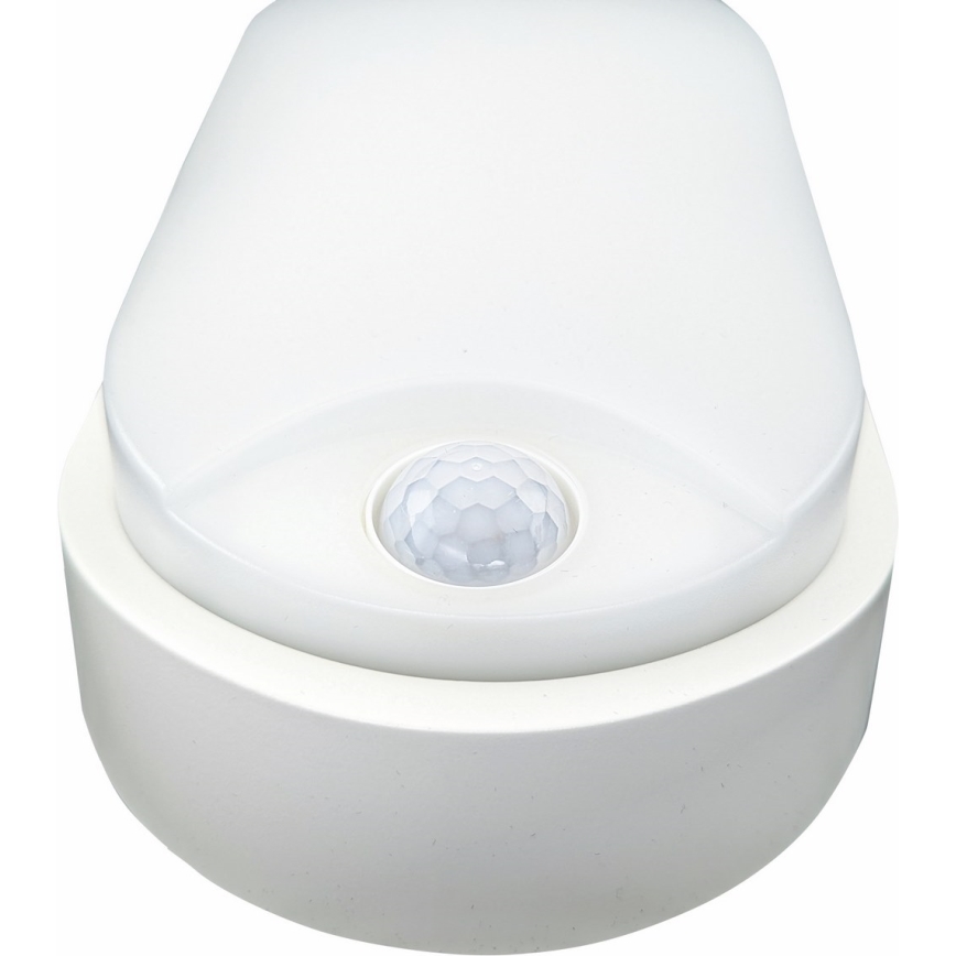 Iluminação de teto exterior LED com sensor LED/14W/230V IP54 branco