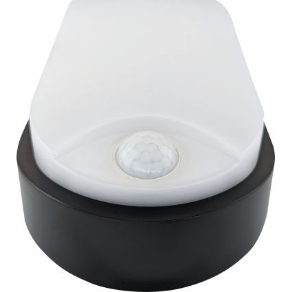 Iluminação de teto exterior LED com sensor LED/14W/230V IP54 preto