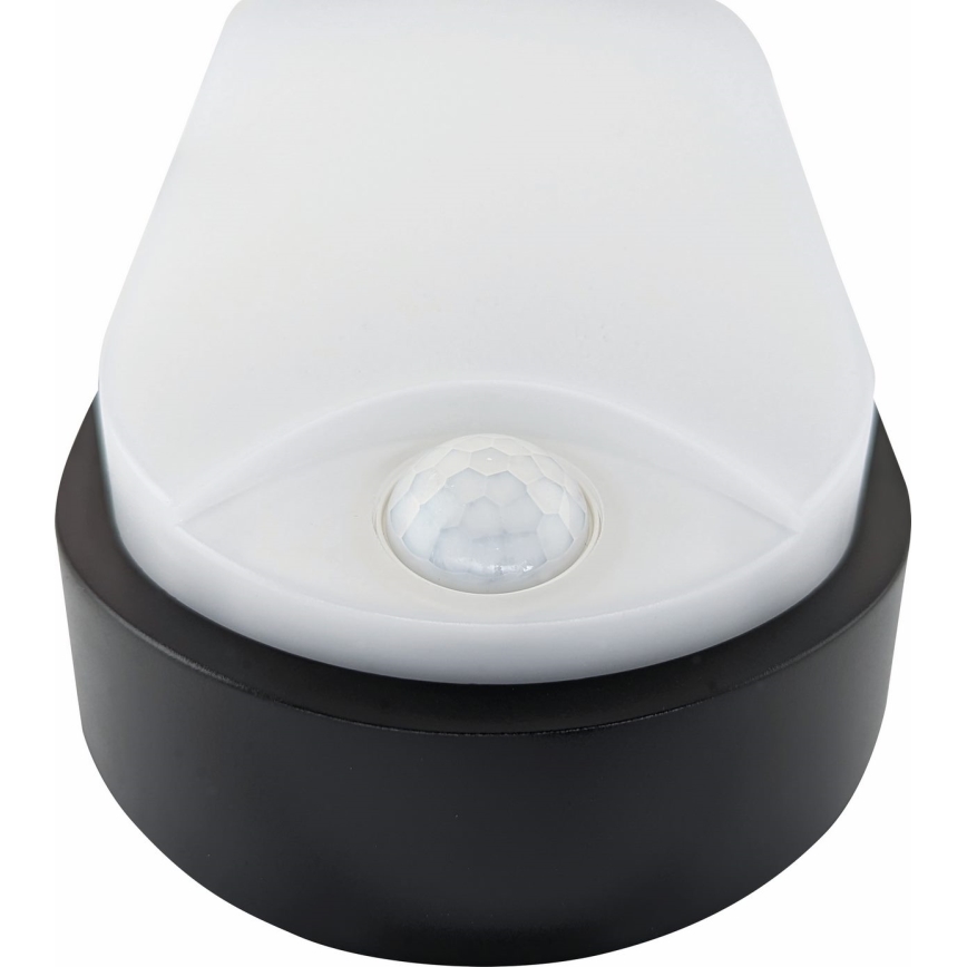 Iluminação de teto exterior LED com sensor LED/14W/230V IP54 preto