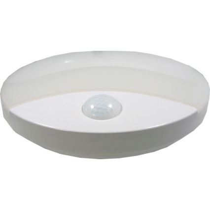 Iluminação de teto exterior LED com sensor LED/15W/230V IP44
