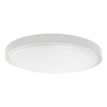 Iluminação de teto exterior LED com sensor LED/30W/230V 4000K IP44 branco