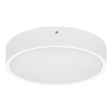 Iluminação de teto exterior LED com sensor MARTIN LED/15W/230V 3000/4000K diâmetro 30 cm IP65 branco