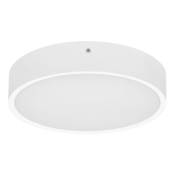 Iluminação de teto exterior LED com sensor MARTIN LED/25W/230V 3000/4000K diâmetro 35 cm IP65 branco