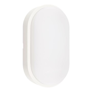 Iluminação de teto exterior LED LED/12W/230V 3000/4000/6500K IP65 branco
