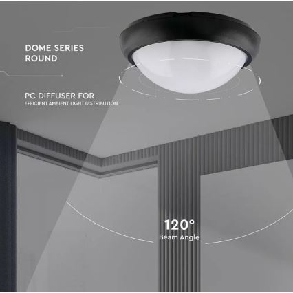 Iluminação de teto exterior LED LED/12W/230V IP54
